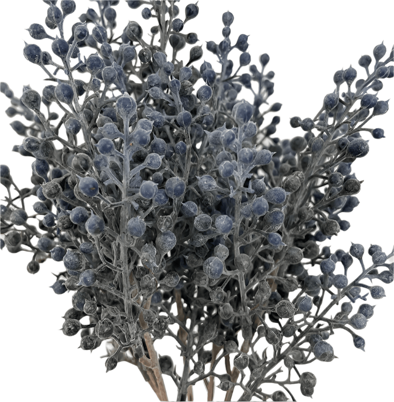 12" BERRY BUSH X5 DUSTY BLUE