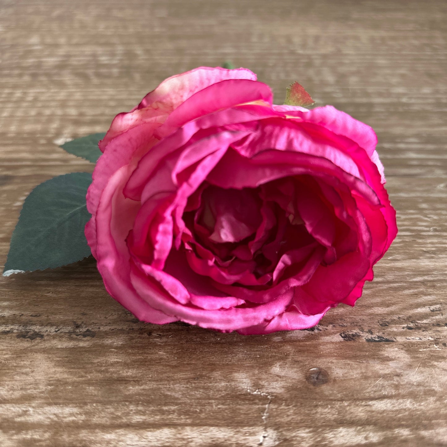 13" Rose Stem in Dark Pink