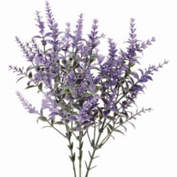 14" LAVENDER GARDEN BUSH