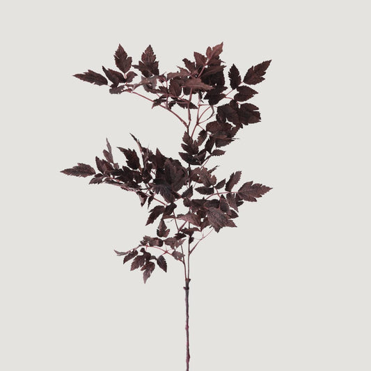 Artificial Plum Cimicifuga Ramosa Leaves - 31"