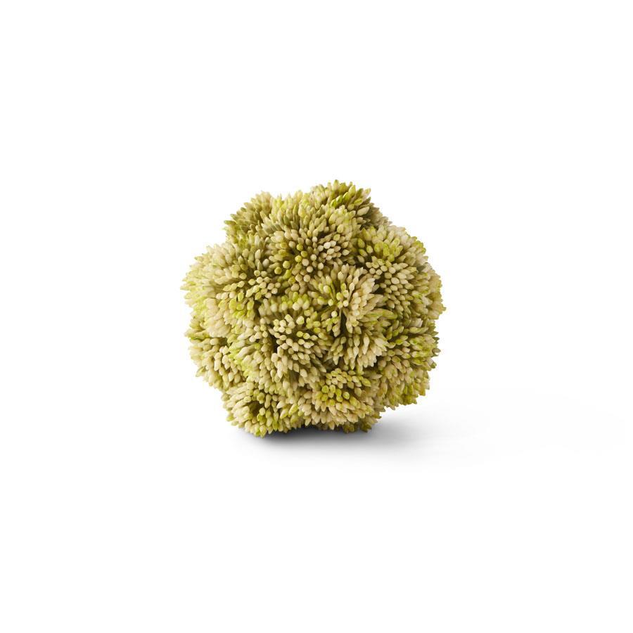 faux succulent balls Sedum Ball Light Green