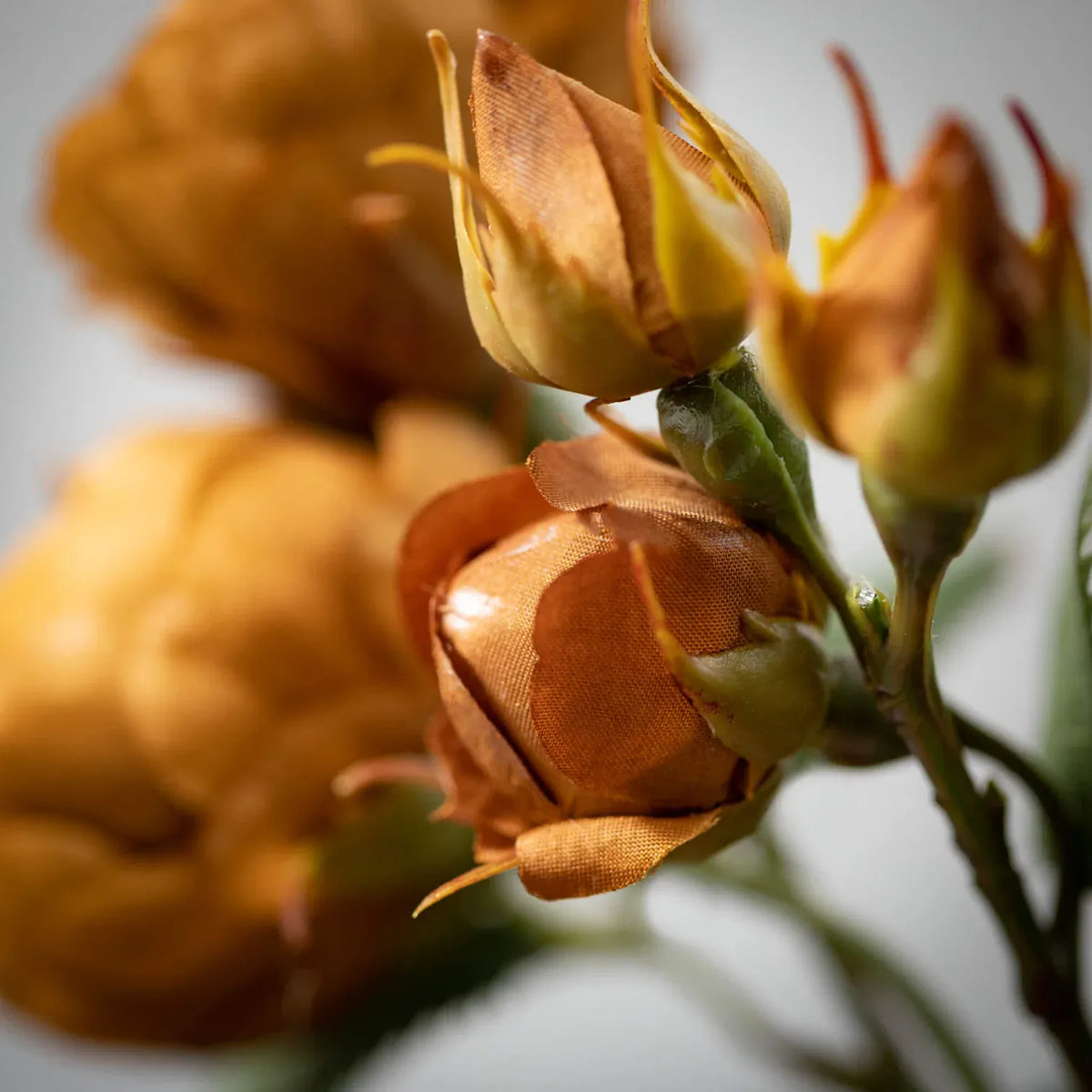 15" Antique Brown Blooming Roses