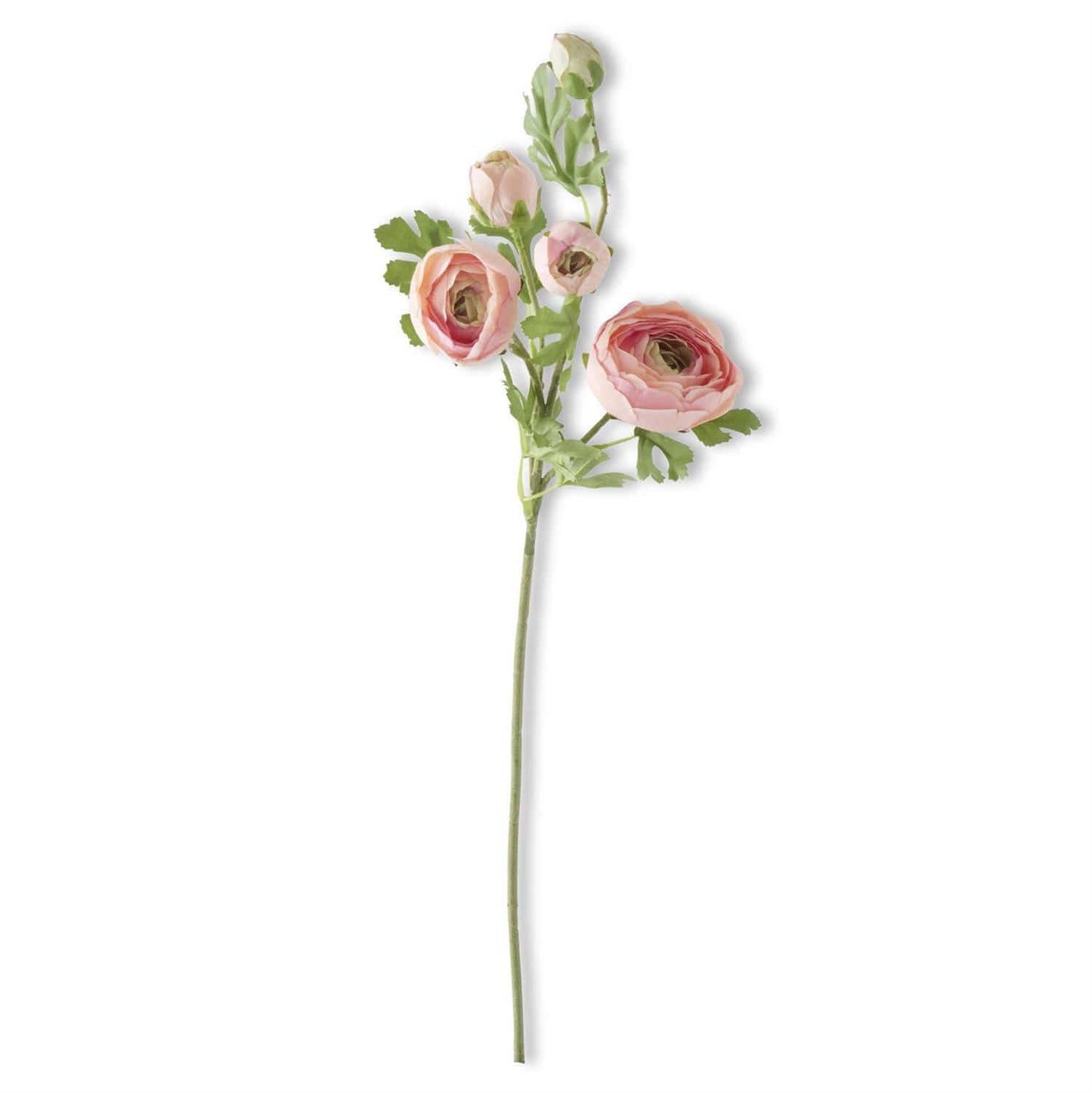 Peachy Pink Ranunculus Stem | 24.5" Real Touch Faux Floral | 5-Head Arrangement