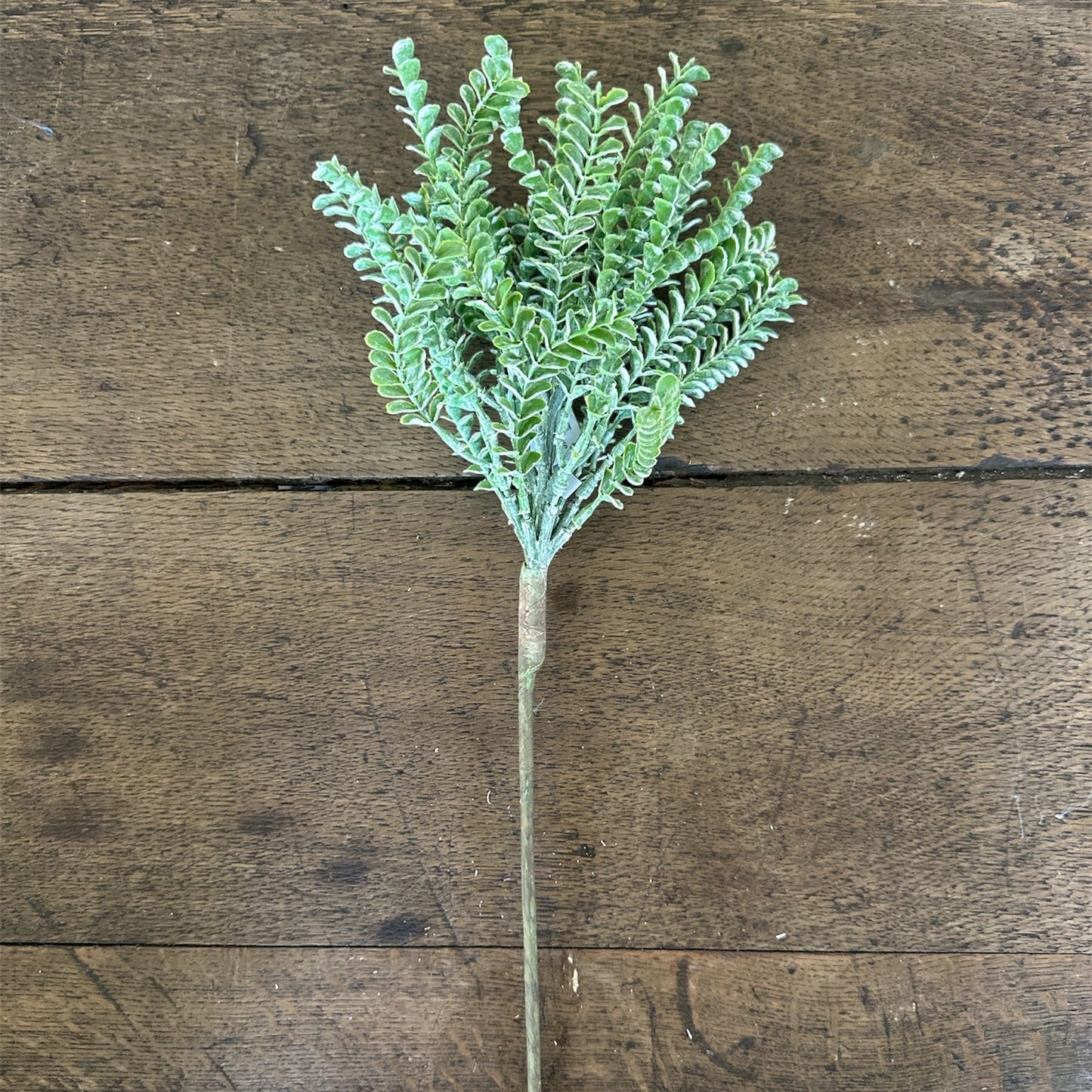 17" Green Clubmosses Spray