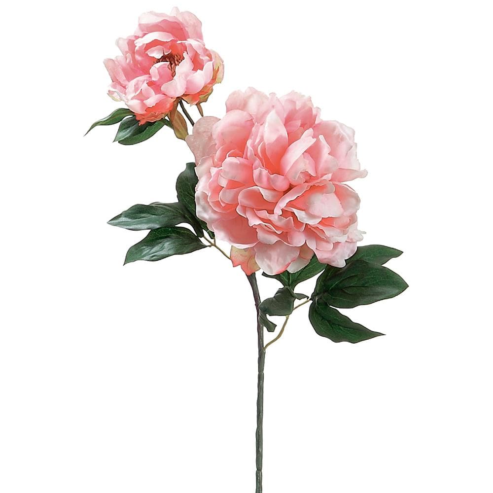 Artificial pink peony flower branch on a white background