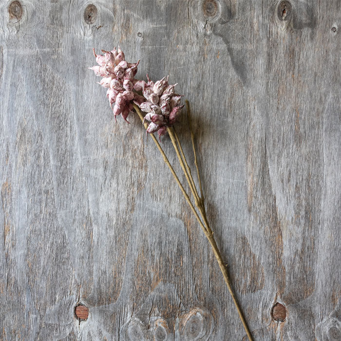 Heirloom Thistle Stem - Mauve 39.5"
