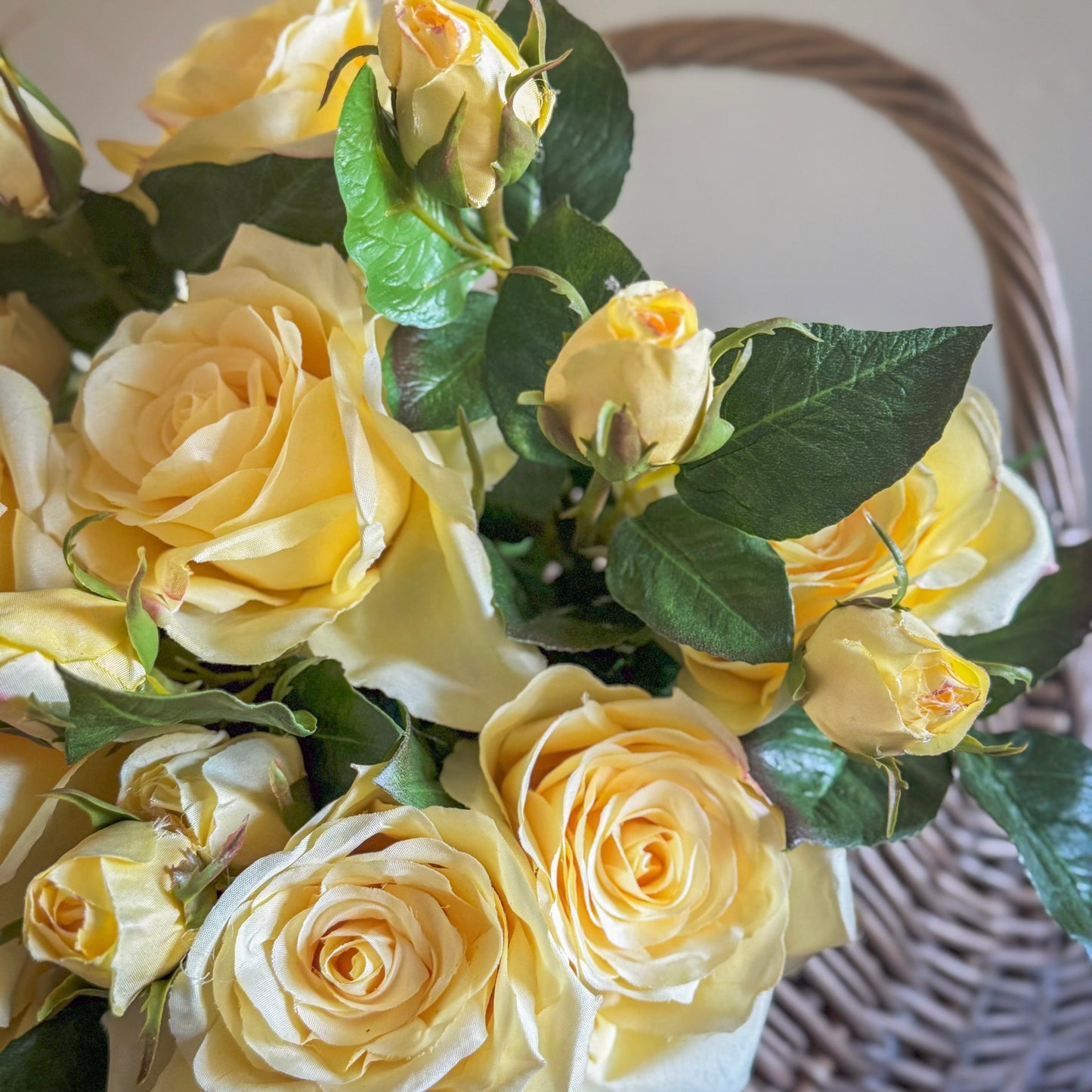 20" Light Yellow Dutch Garden Rose