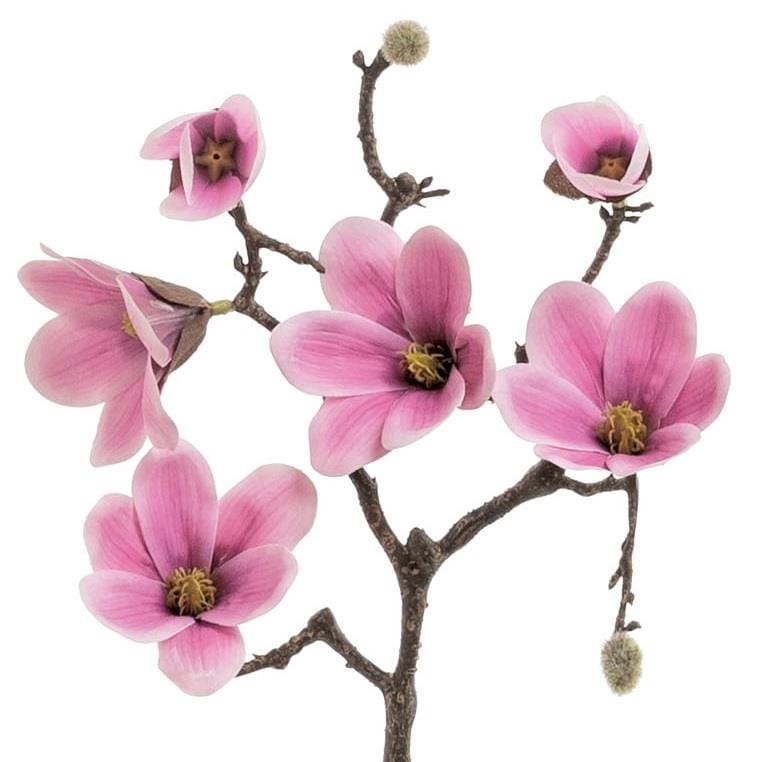 20" SAUCER MAGNOLIA BRANCH