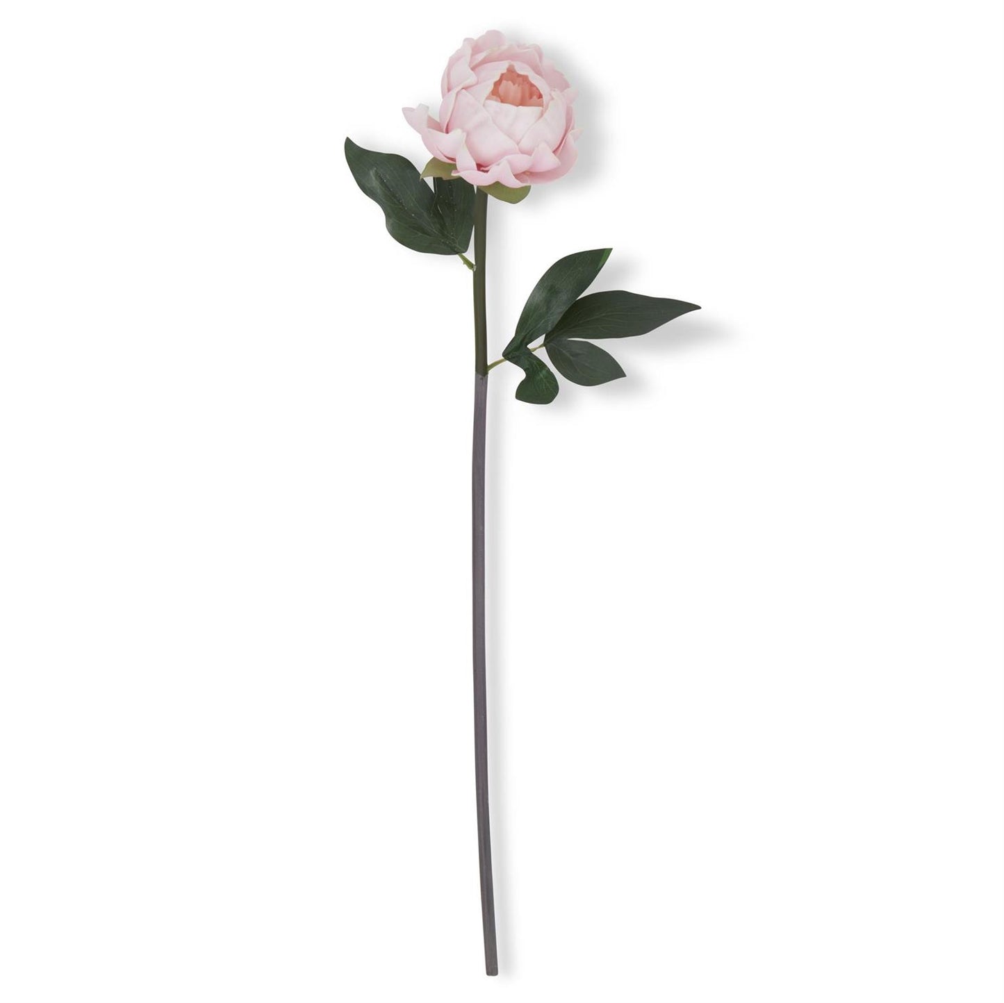 20" Real Touch Pink Peony - Artificial Flower Stem
