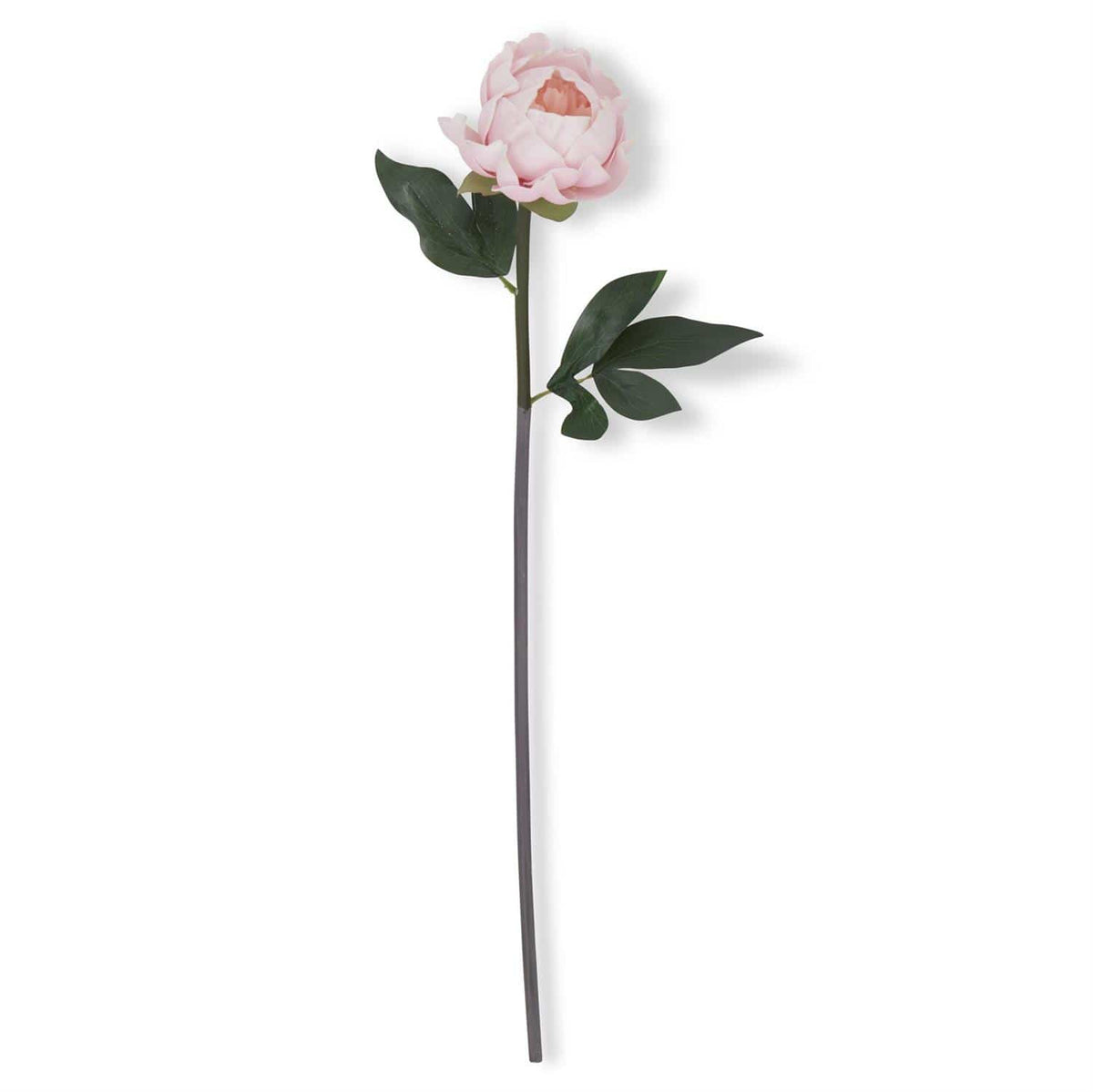 20" Real Touch Pink Peony - Artificial Flower Stem