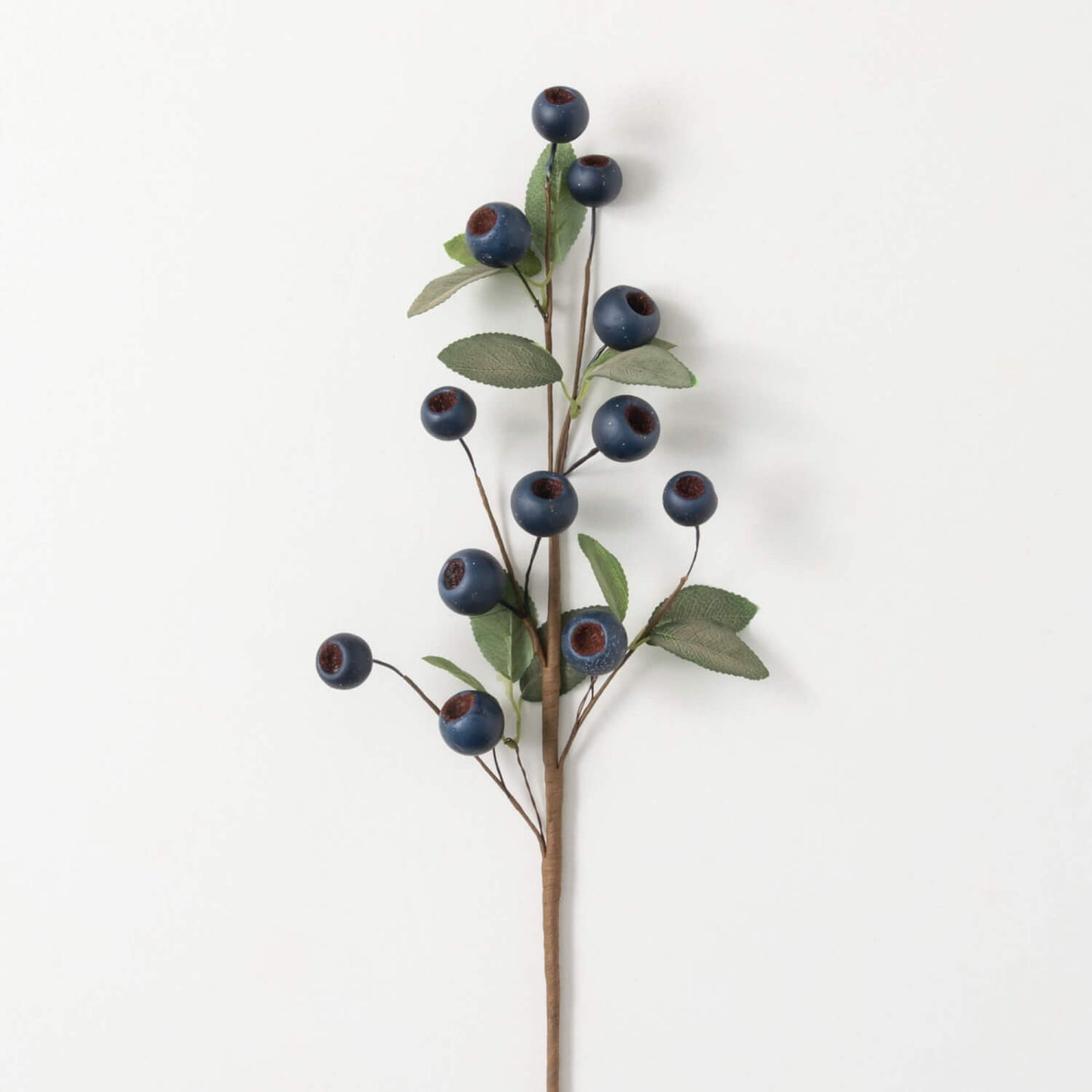 Blue Pod and Green Leaf Spray