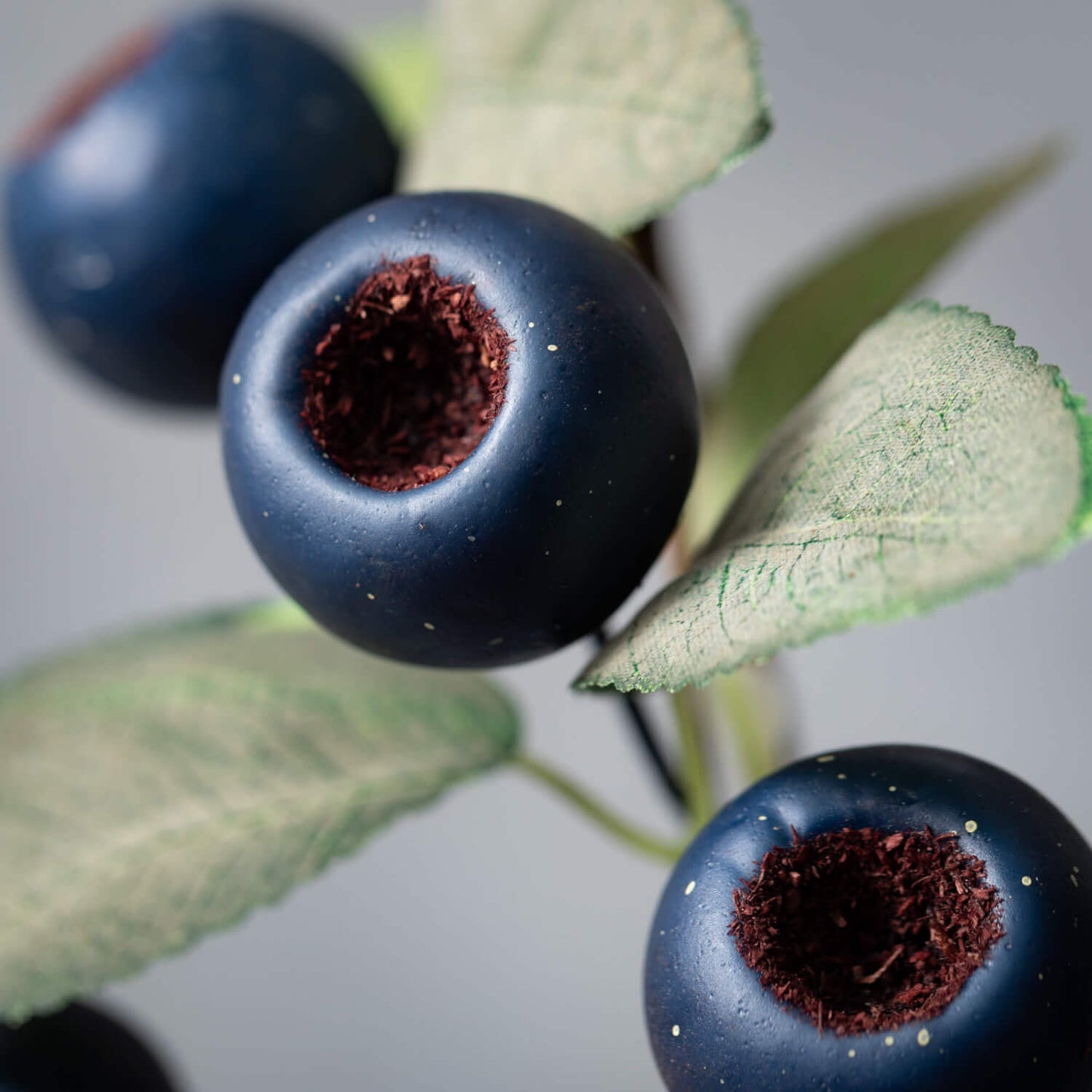 Blue Pod and Green Leaf Spray