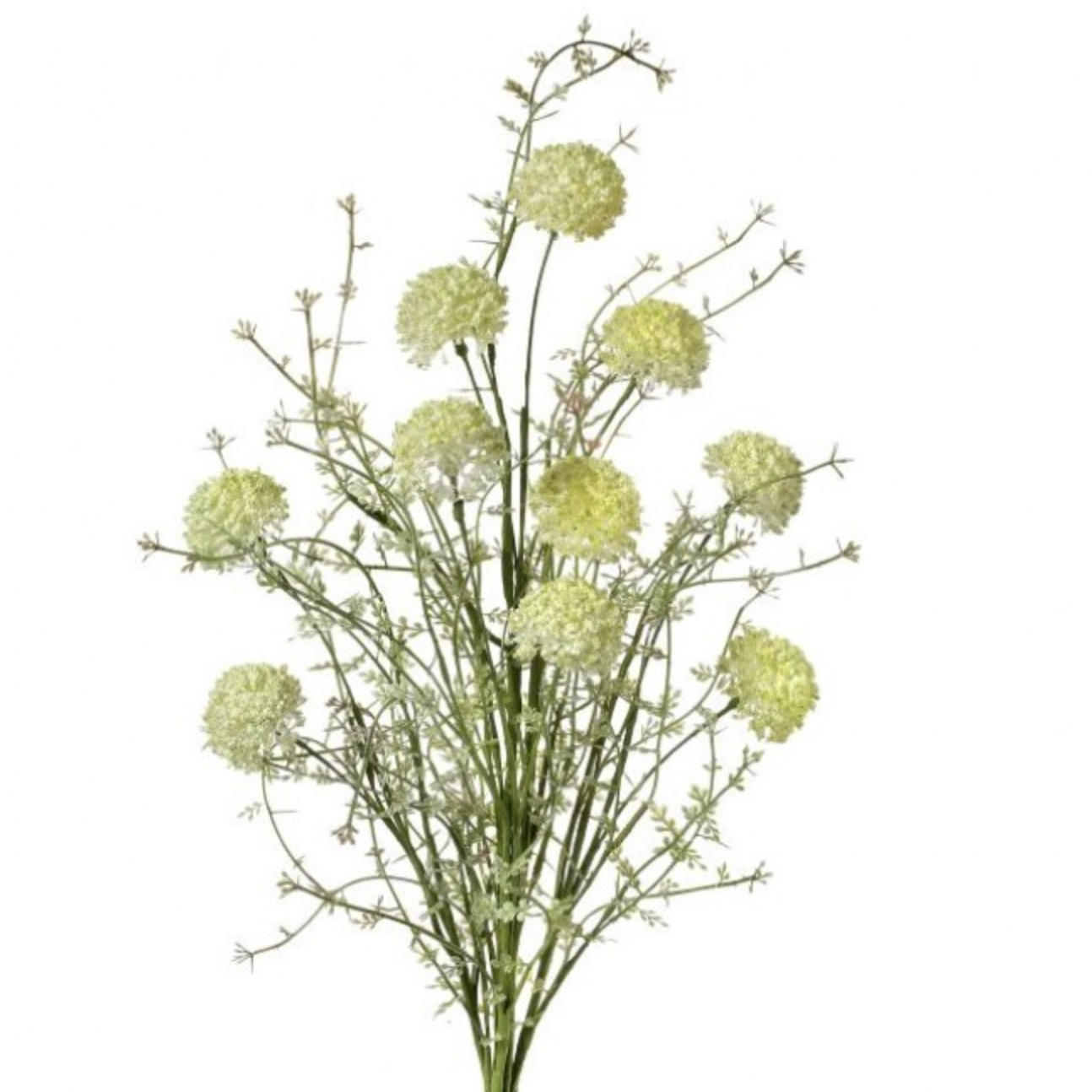 24" Allium Bush with 10 Stems in Cream