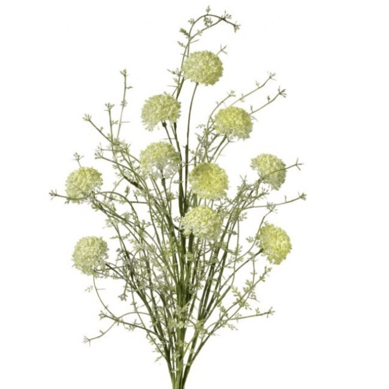 24" Allium Bush with 10 Stems in Cream