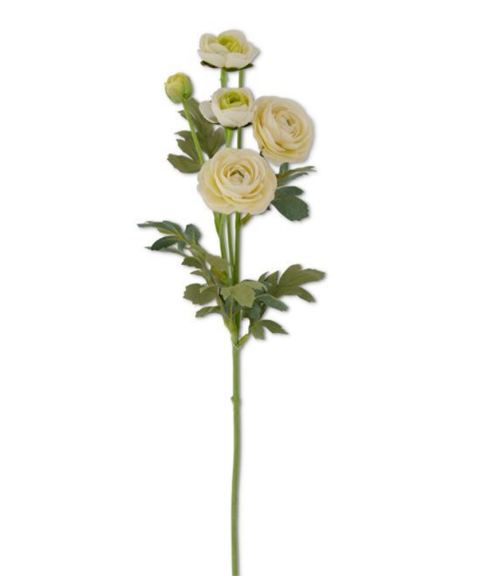 White Ranunculus Spray
