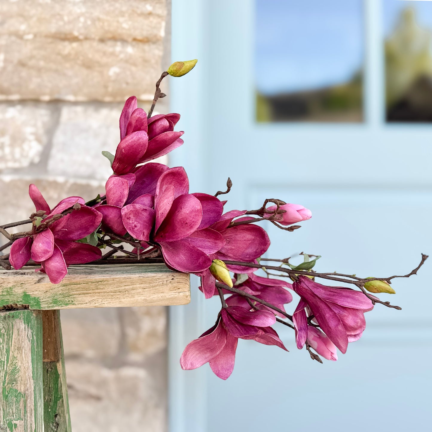 48" Fuchsia Magnolia Stem