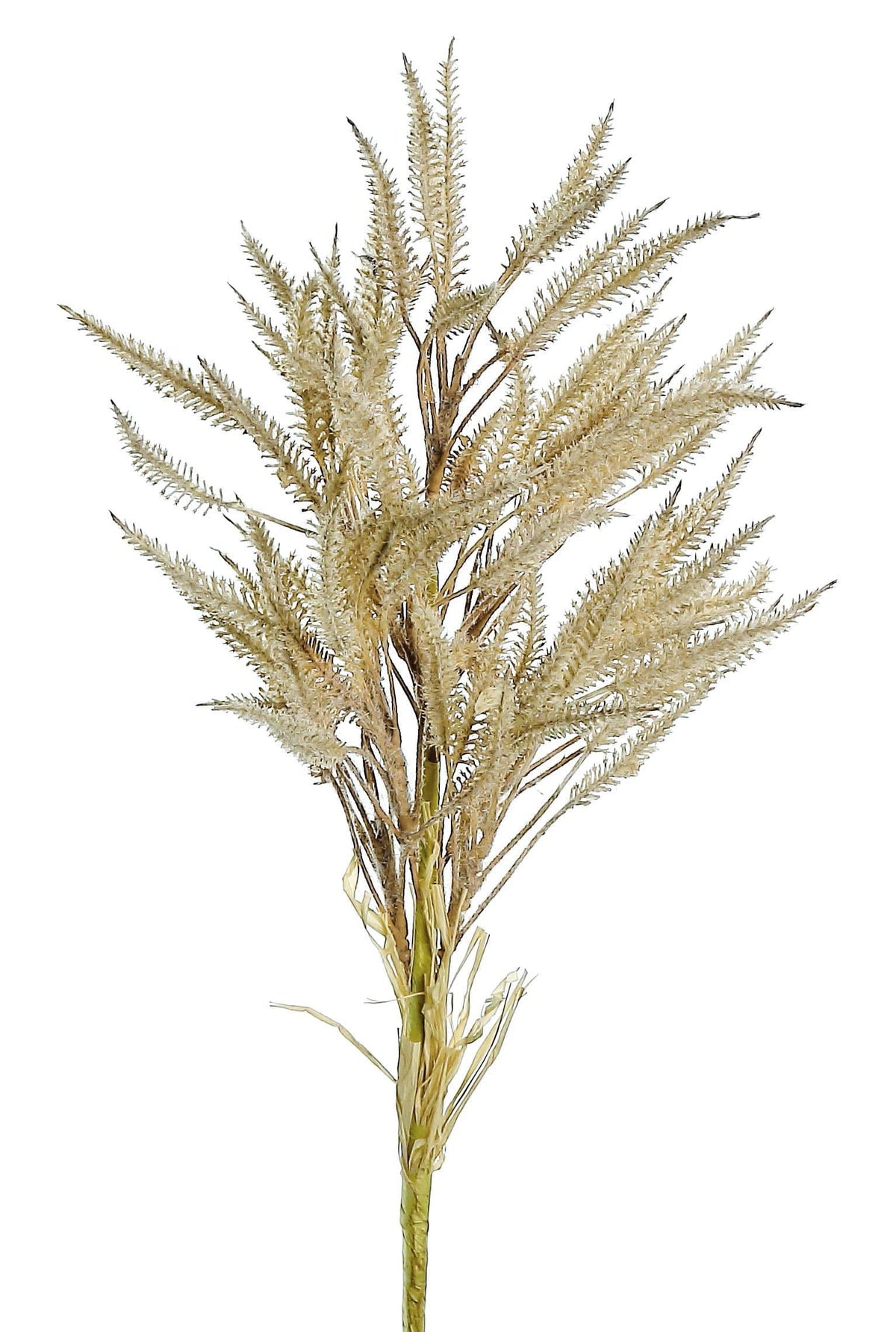PUFF GRASS SPRAY, 31", GREY