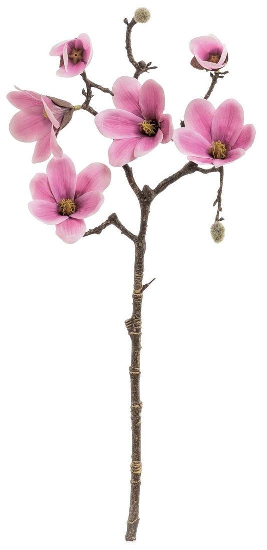 20" SAUCER MAGNOLIA BRANCH