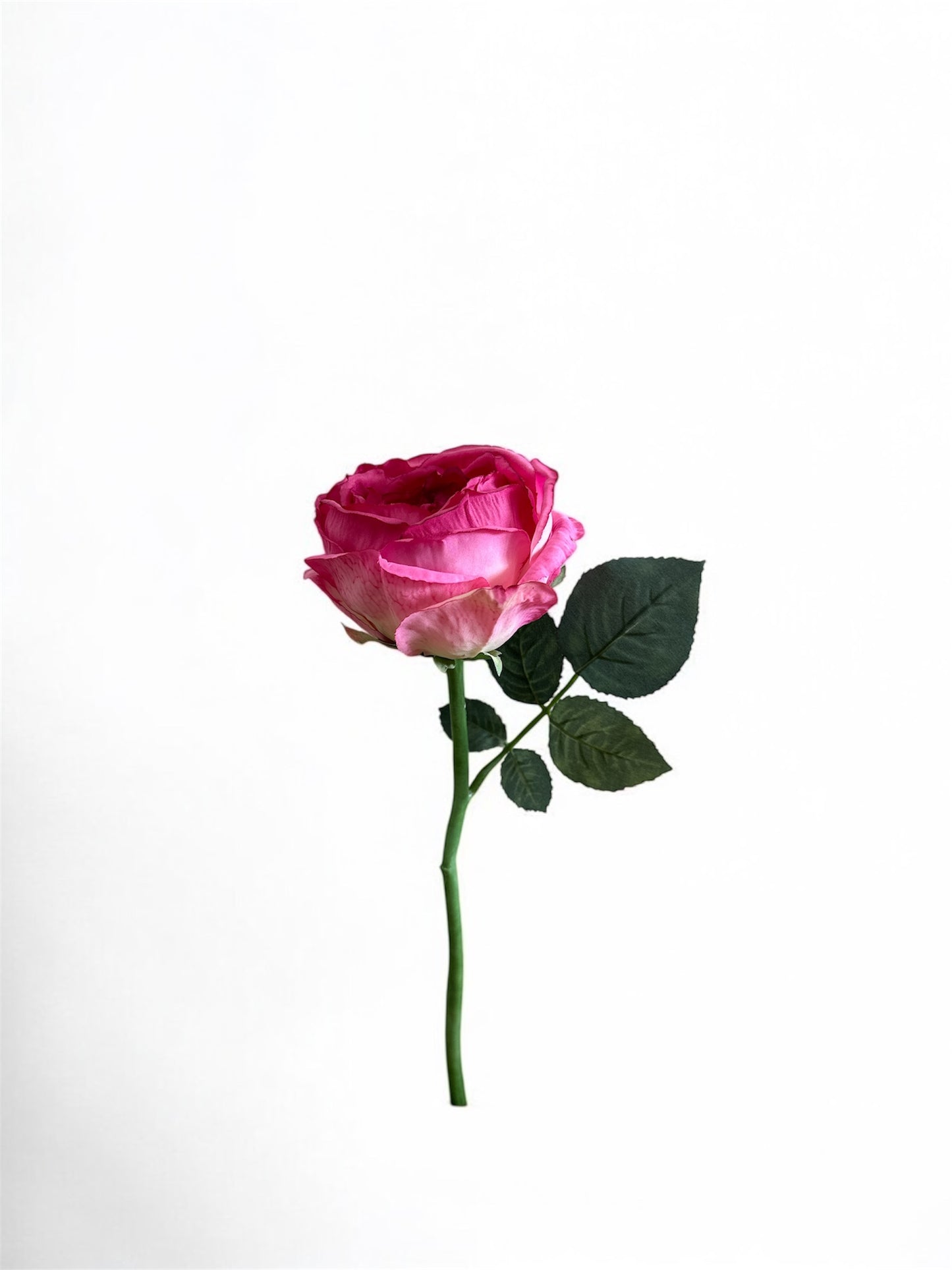 13" Rose Stem in Dark Pink
