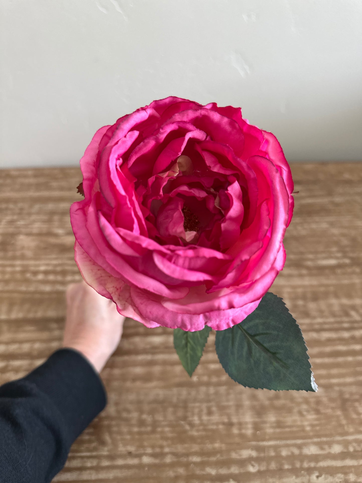 13" Rose Stem in Dark Pink