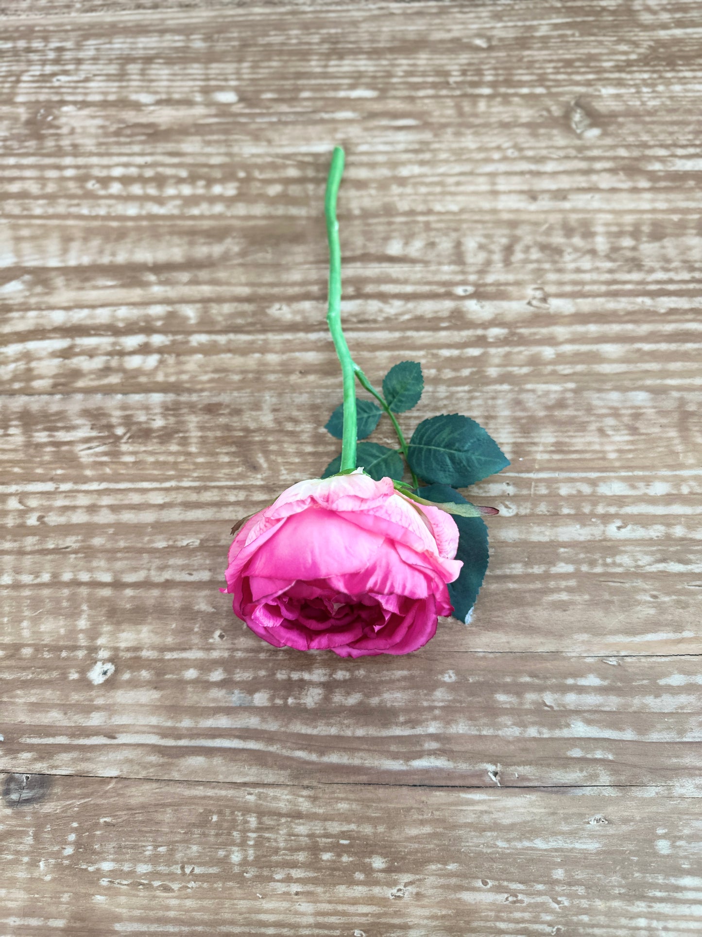 13" Rose Stem in Dark Pink