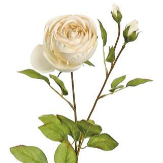 Harvest Rose With Buds, 27", Linen