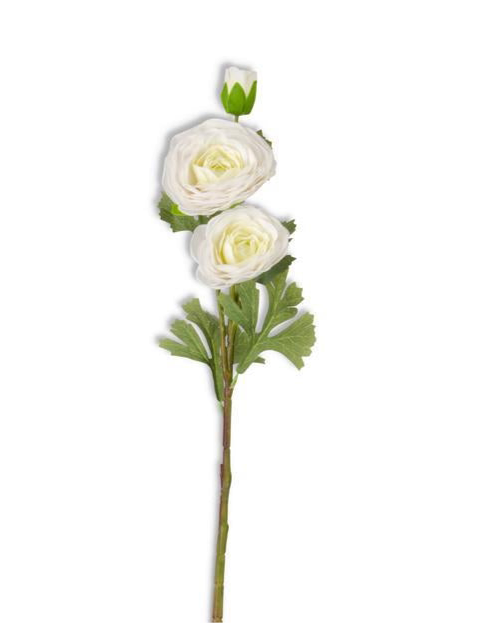 25 INCH WHITE REAL TOUCH TRIPLE BLOOM RANUNCULUS STEM