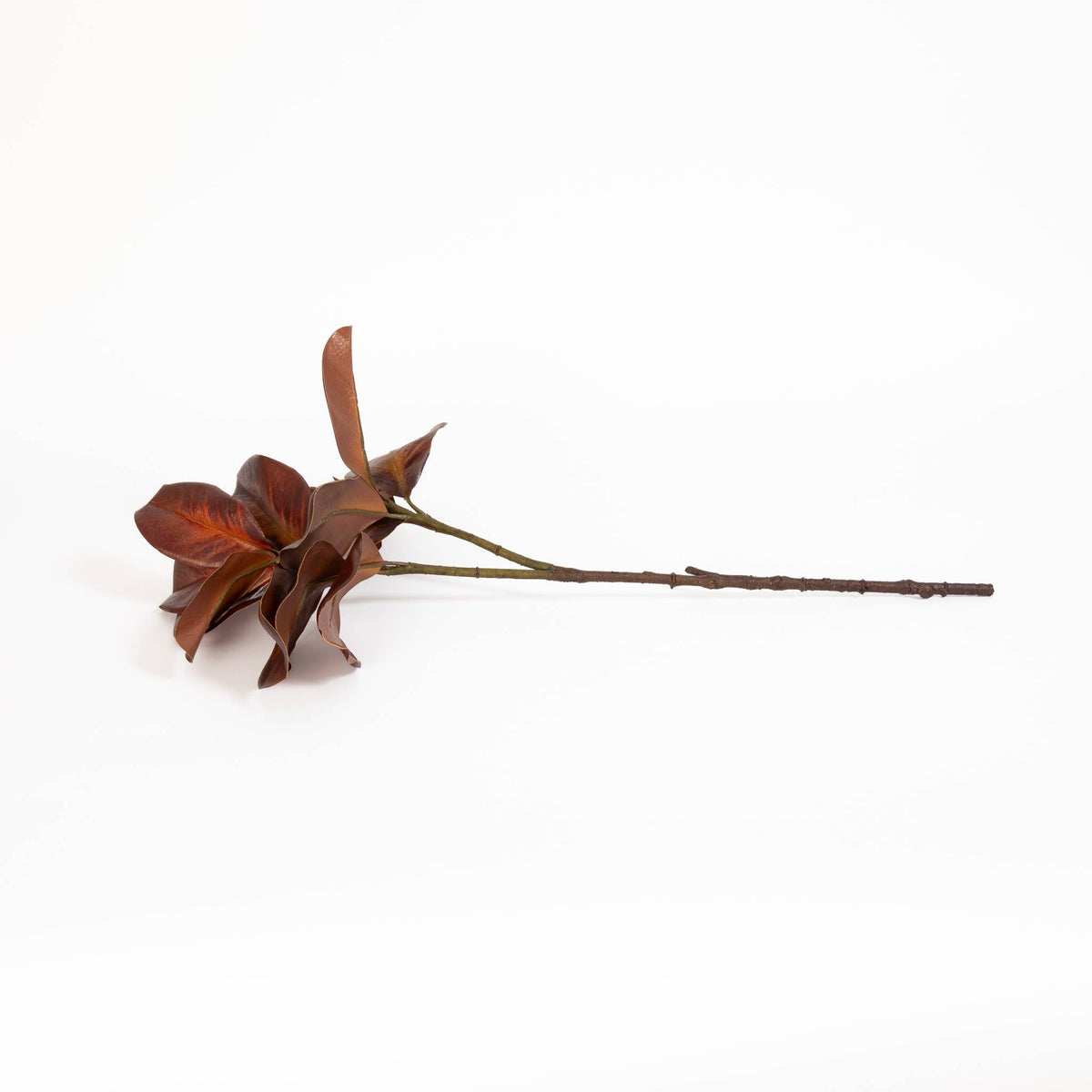 Bourbon_Magnolia_Leaf_Spray