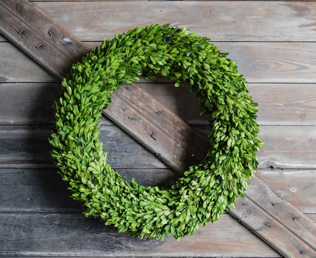 Boxwood_Wreath