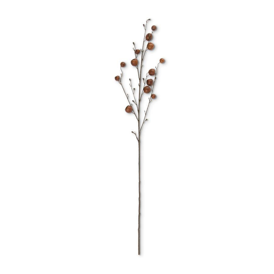Brown_Pod_Stem