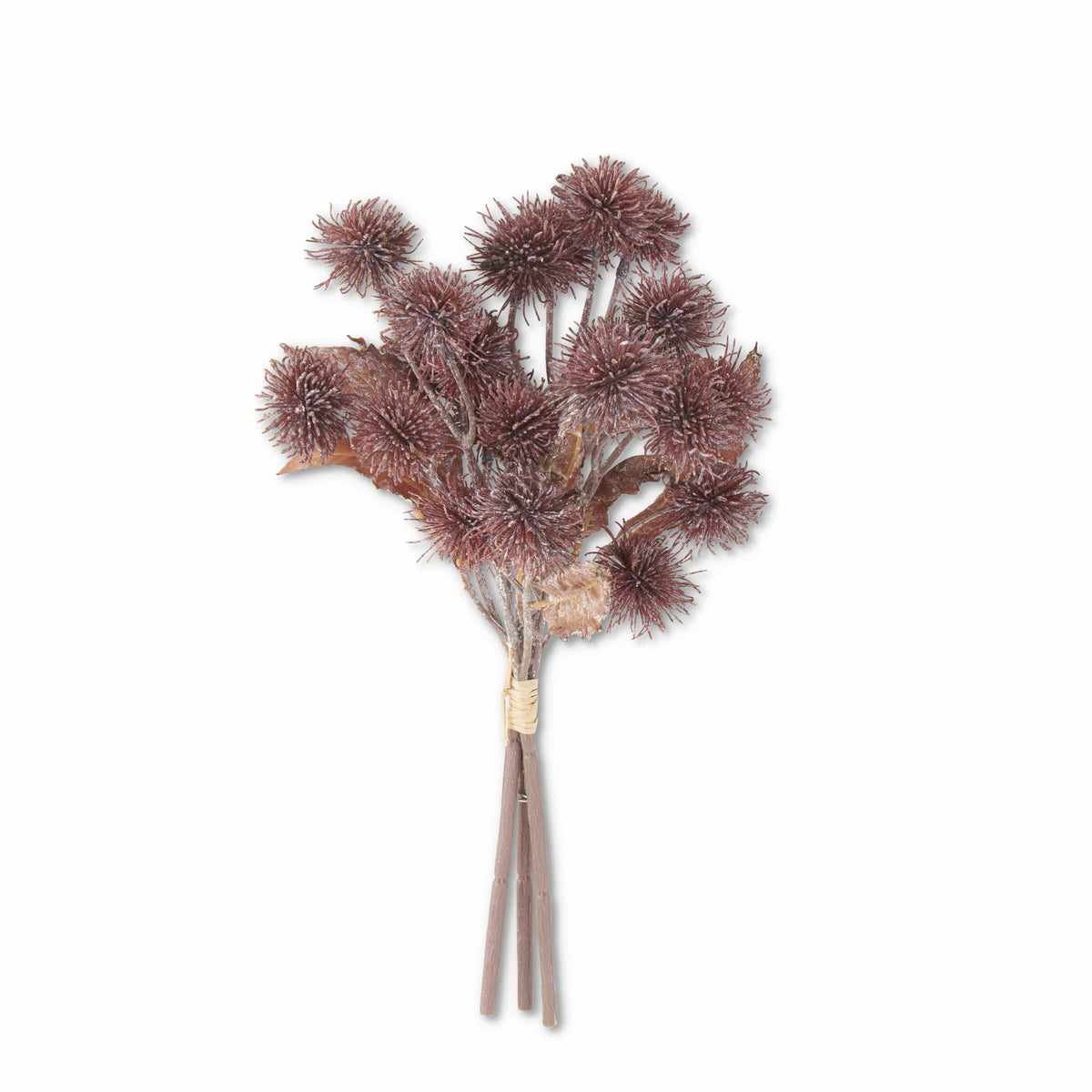 Burgundy_Sycamore_Fruit_Bundle