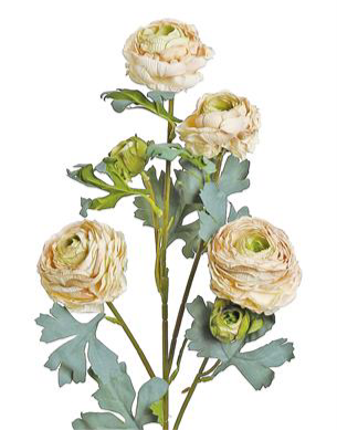 SUMMER DRIED RANUNCULUS SPRAY X6, 30", BLUSH