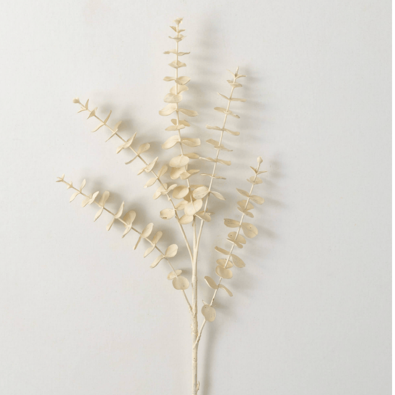 A cream-colored eucalyptus spray with realistic details, arranged on a white background.