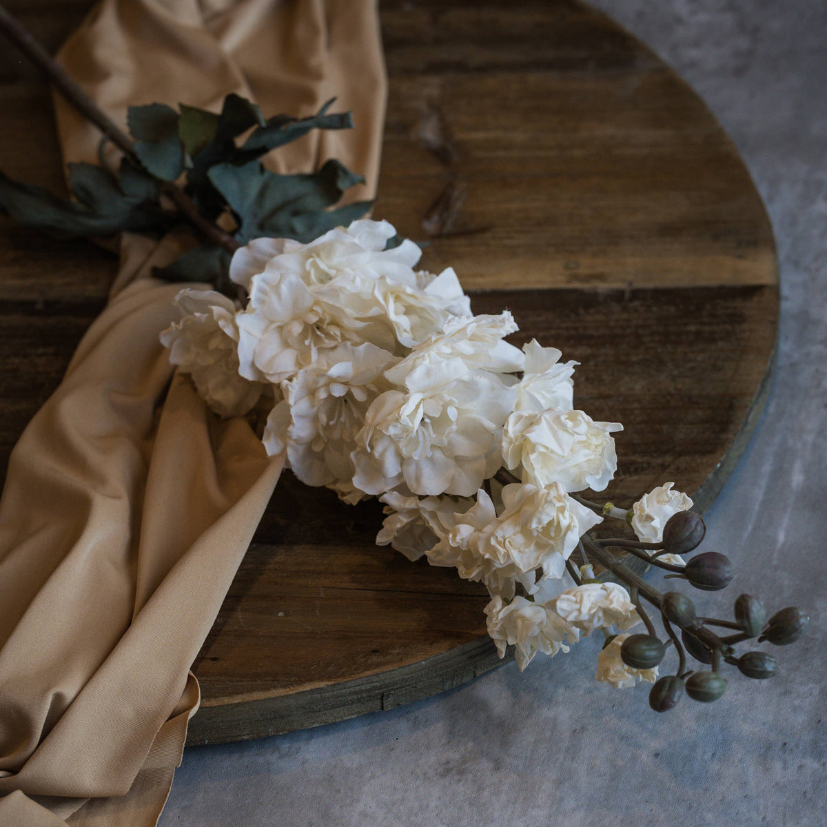 Cream_Larkspur_Stem