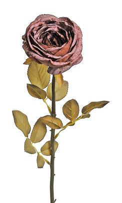 DRIED GARDEN ROSE 29", BURGUNDY