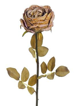 Dried Garden Rose 29", Caramel