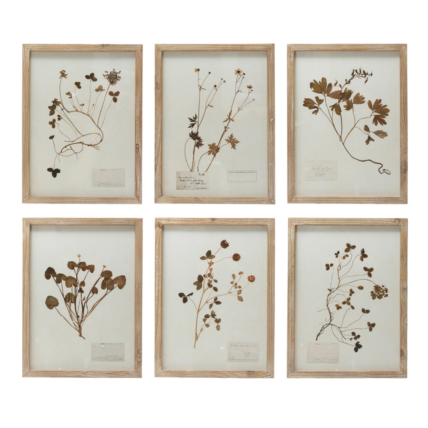 Framed Wall Decor with Botanicals 6 Styles