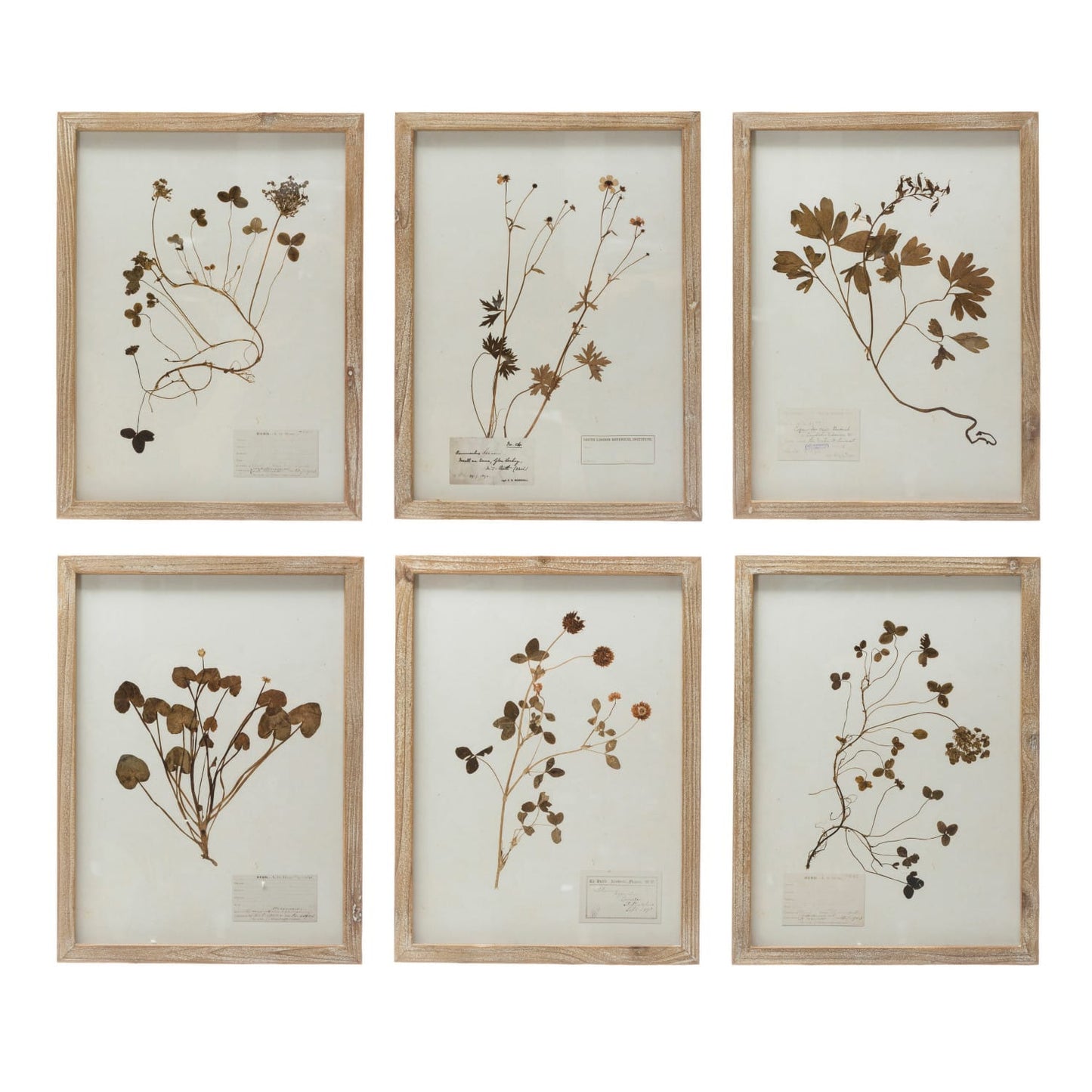 Framed Wall Decor with Botanicals 6 Styles