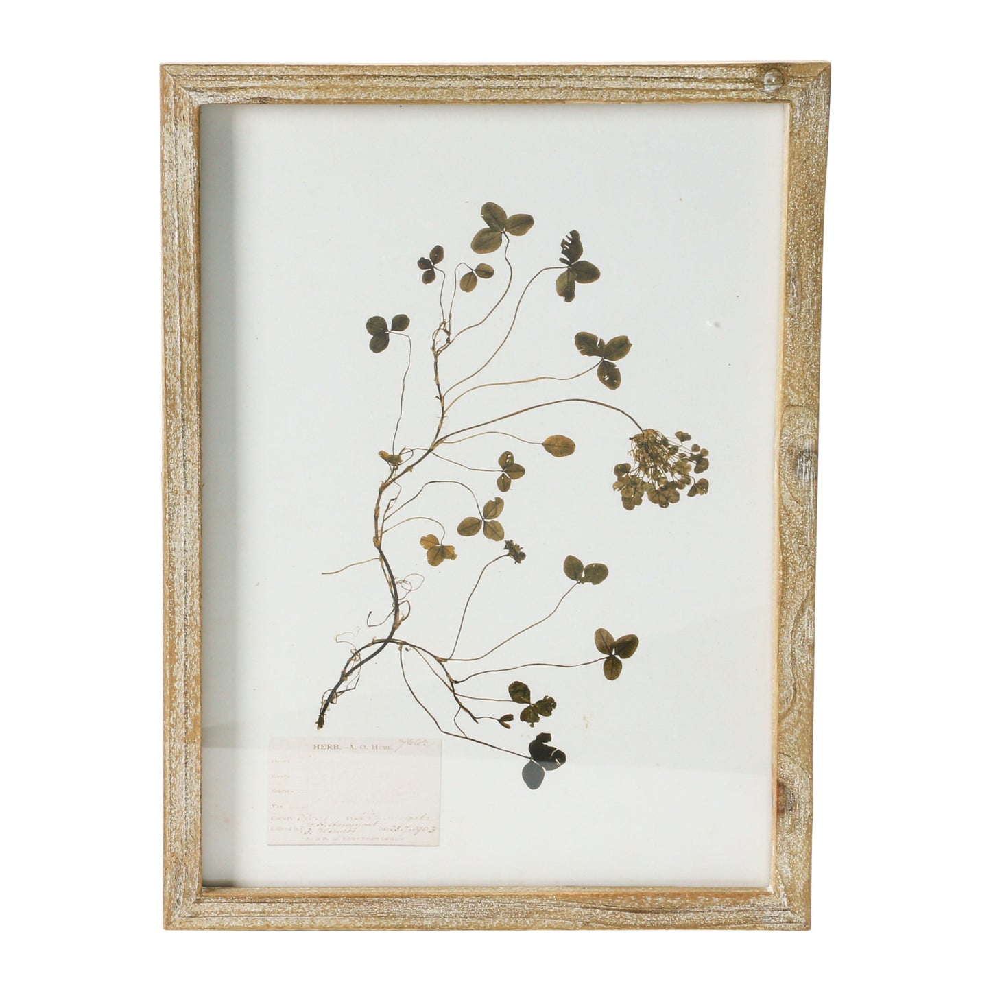 Framed Wall Decor with Botanicals 6 Styles