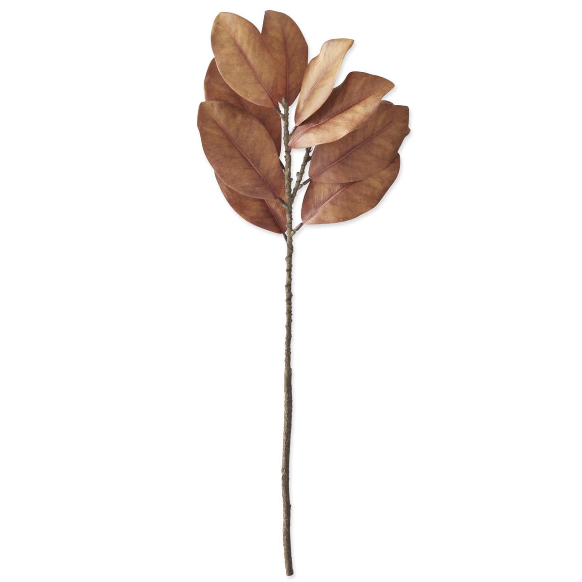 Dark_Golden_Yellow_Magnolia_Branch