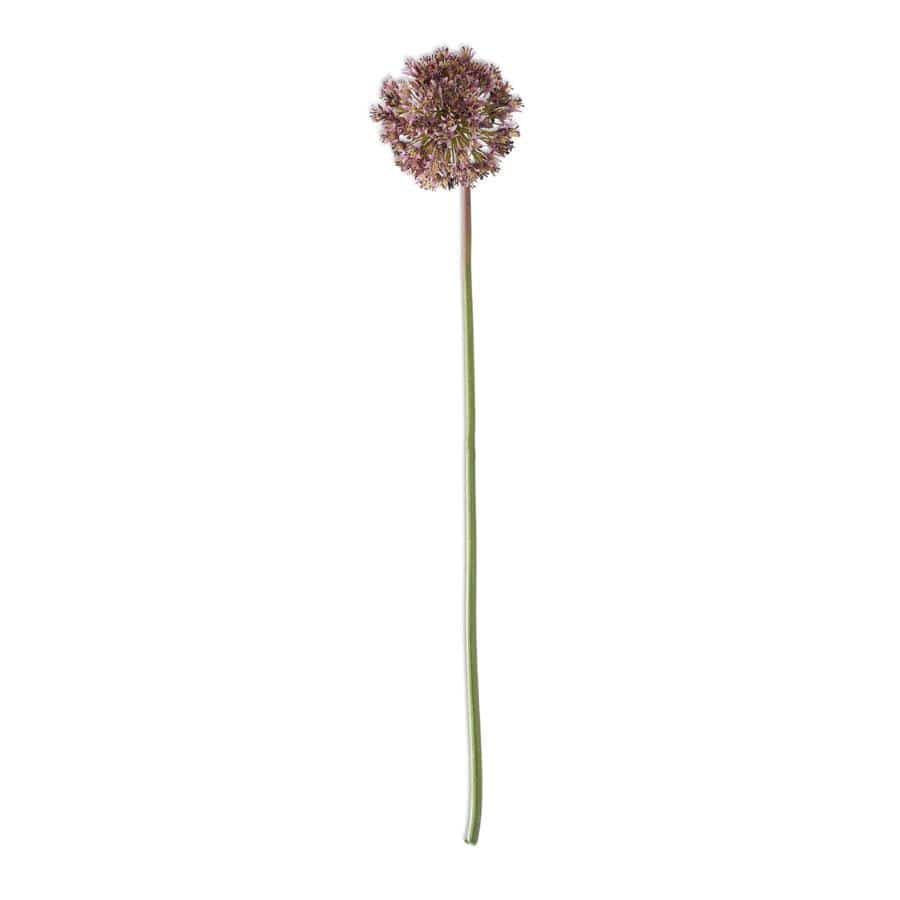Dark Purple Allium Stem 30" - Single Stem Artificial Flower