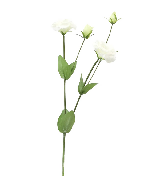 White Lisianthus 27"