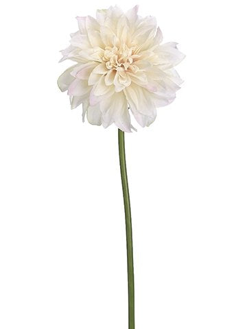 19" Dahlia Spray in Cream Blush