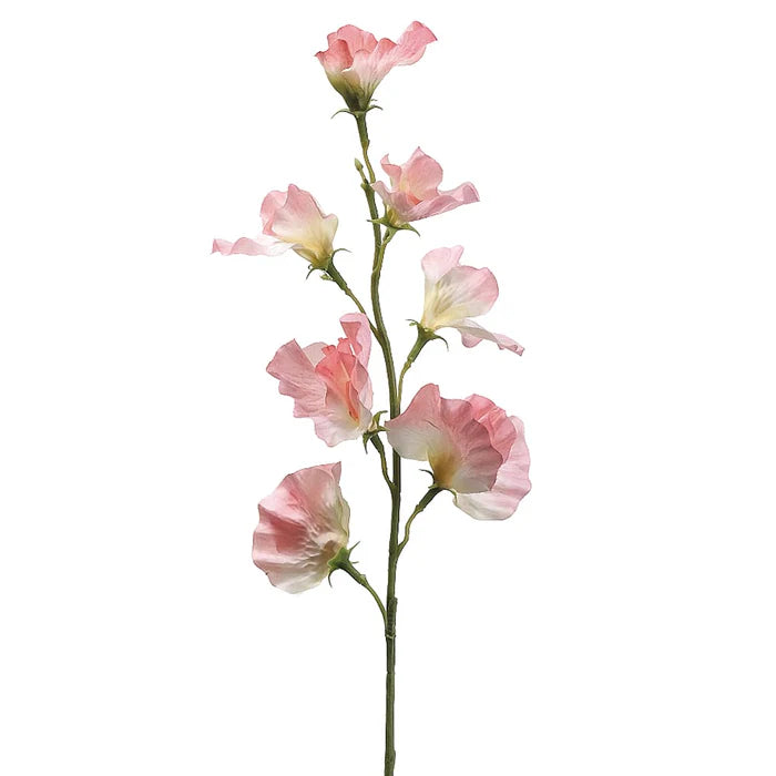 22" Pink Sweat Pea Spray