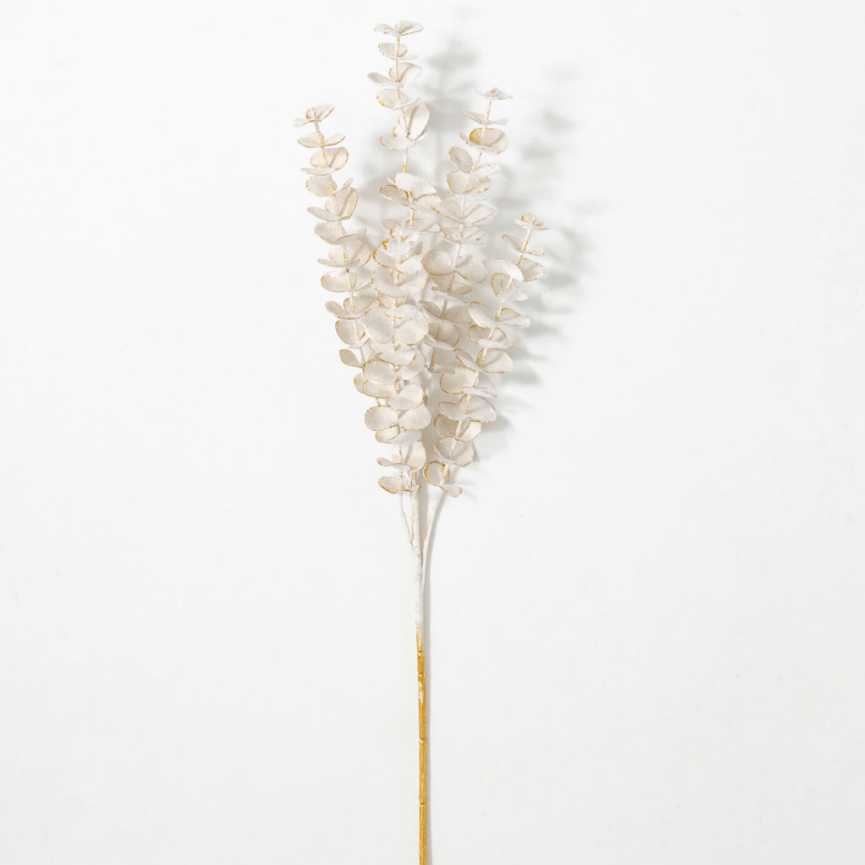A single stem of frosted gold eucalyptus spray against a white background.