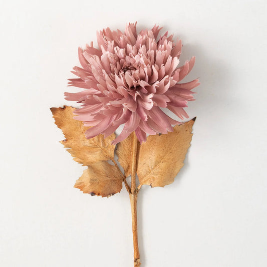 27.5 Blossoming Mauve Pink Dahlia Stem