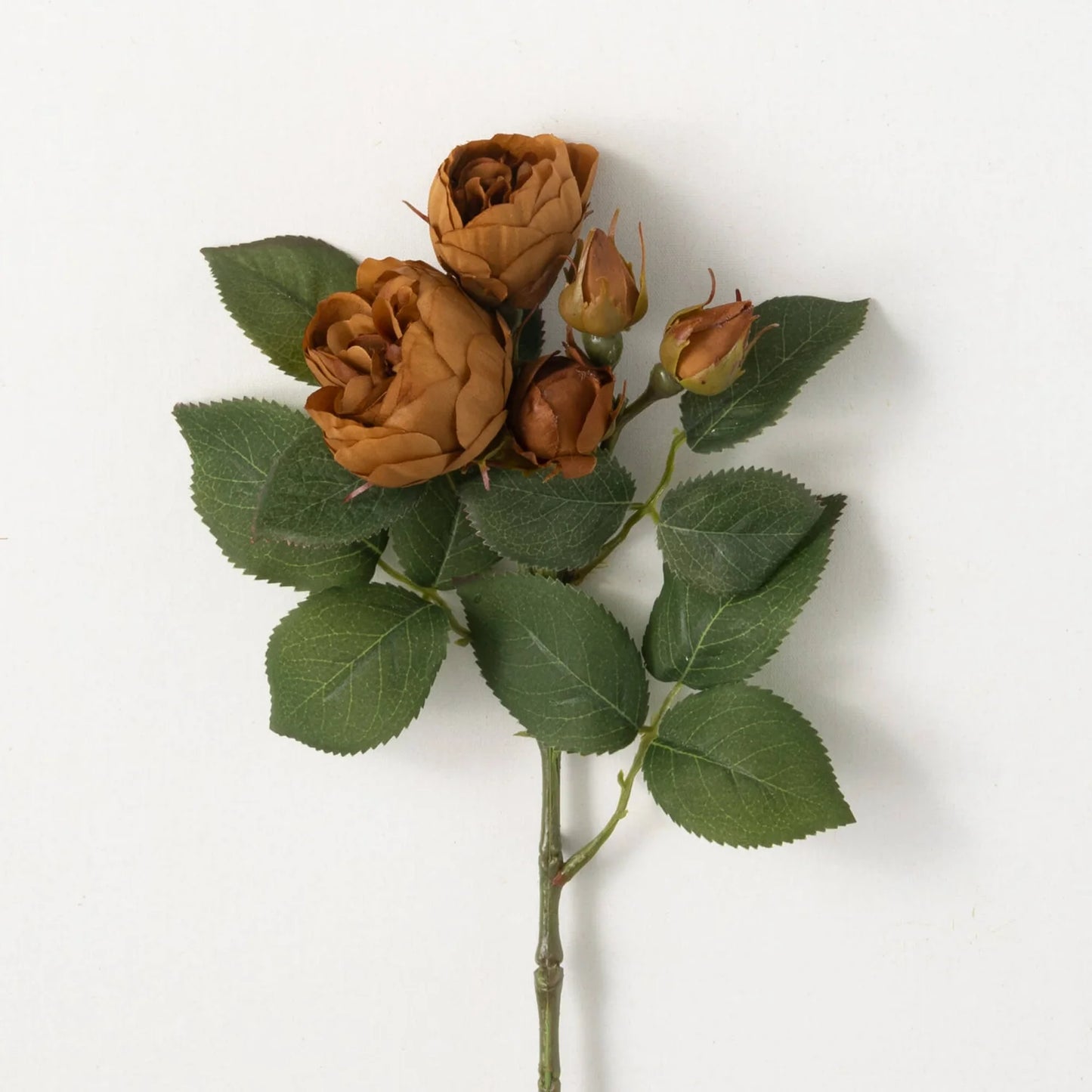 15" Antique Brown Blooming Roses