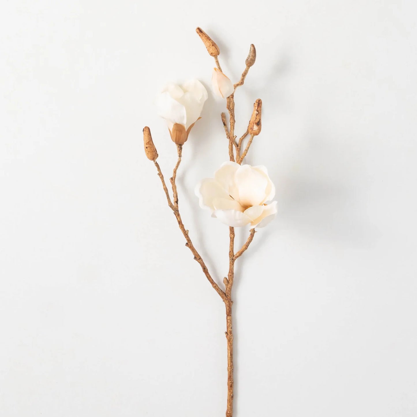 27" Cream Magnolia Blooming Branch