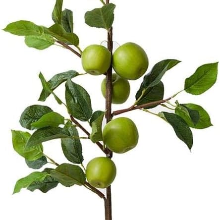 Green Apple Branch 34"