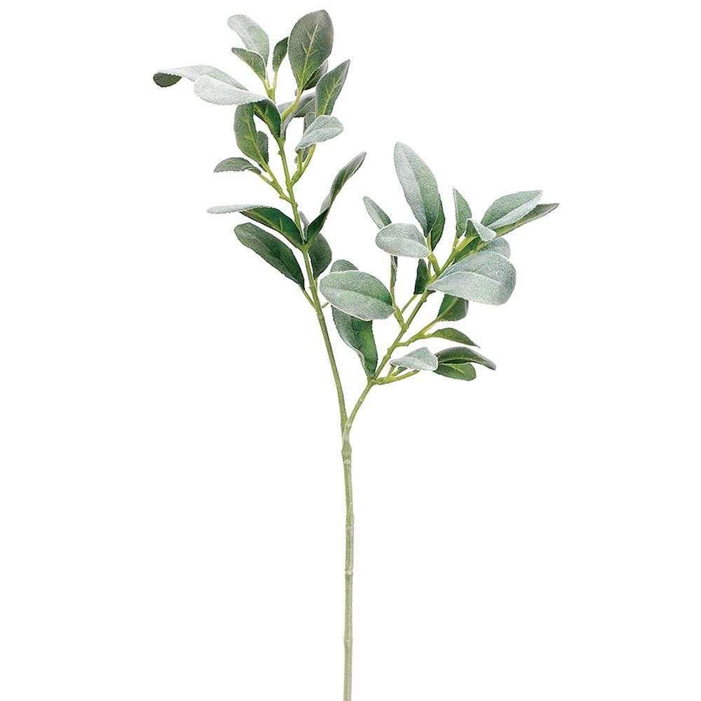 A 28-inch artificial green Lamb's Ear leaf spray, with detailed and realistic leaf patterns, suitable for indoor decoration.